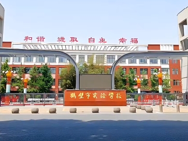 河南一女老師駕車撞傷兩名小學生 已被停職