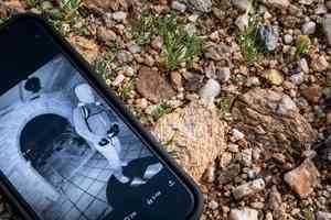 NBC主播之母失蹤案 娛樂新聞機構接神秘電郵