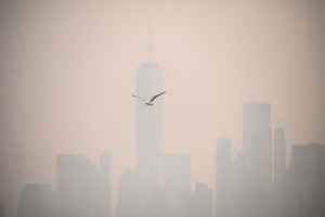 紐約等大城市煙塵漫天 美發布空氣質量警報