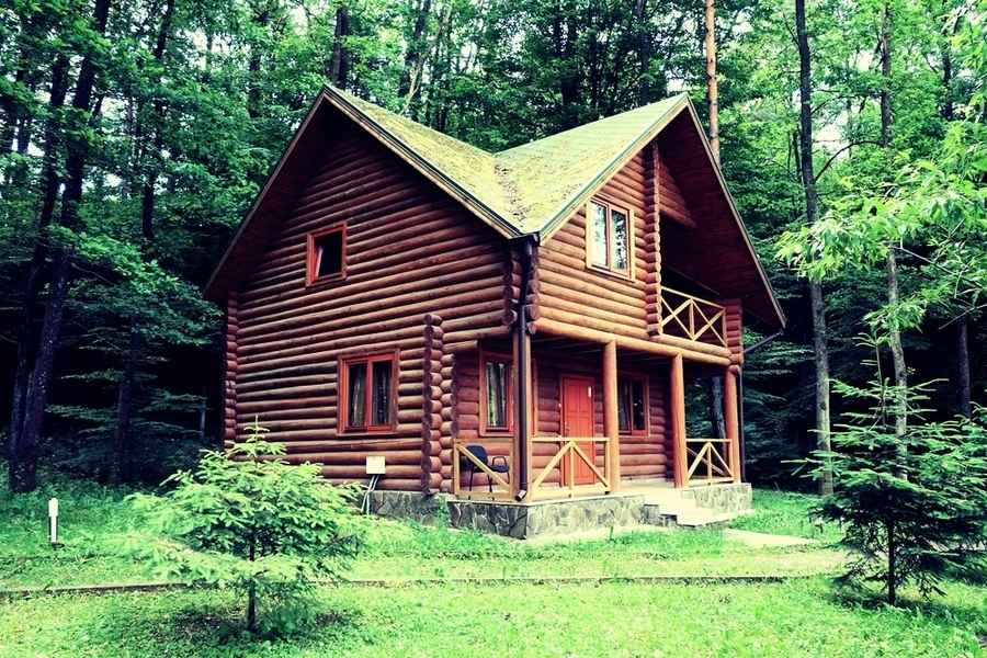 夫婦移居林中小屋 將耕地變為盈利的Airbnb