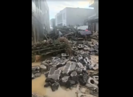 廣西災民揭洪災慘烈 死亡人數驚人