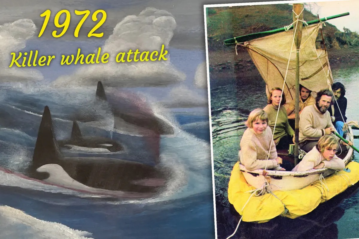 1972年，虎鯨襲擊了他們的船，船沉之後，三個大人和三個孩子逃上了救生艇。他們喝海龜血為生，用指南針在太平洋漂流38天，直到獲救。（由羅伯遜家族檔案館提供）