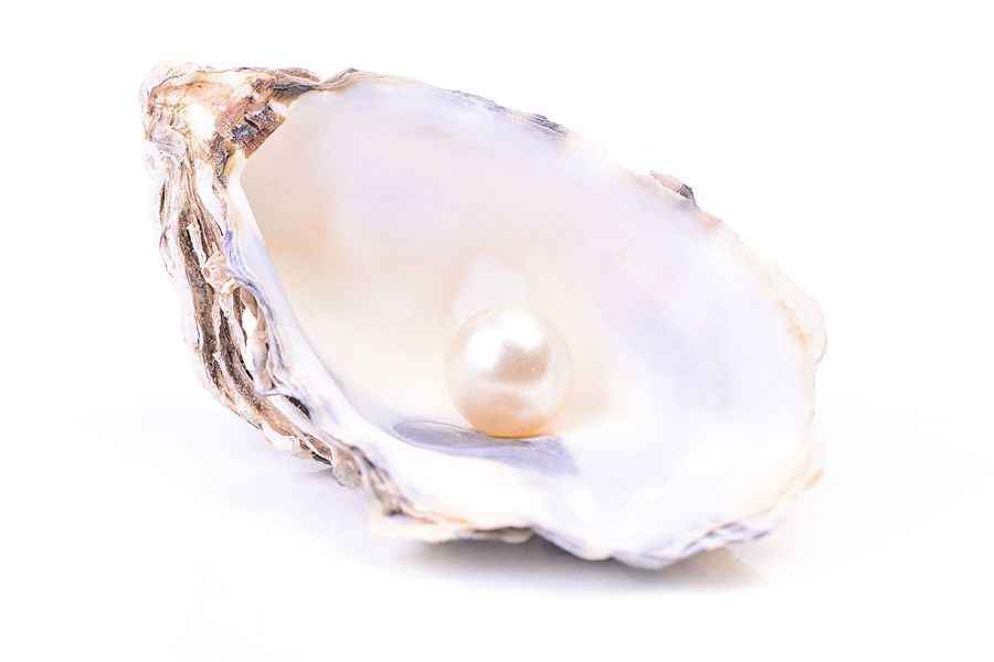 幸運西班牙女子吃蛤蜊發現罕見「紫珍珠」