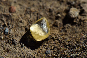 美國幸運夫婦 公園內拾「石頭」鑑定後原來是4.38卡的黃鑽