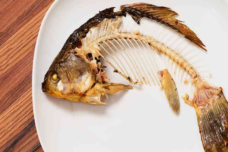 魚刺卡喉嚨的風險比你想像的高 如何處理？