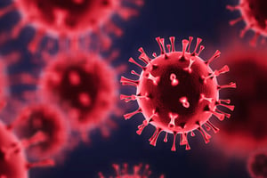 專家證實COVID-19南非病毒株傳染力更強