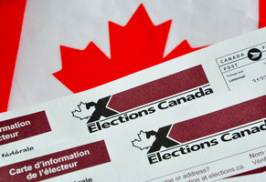海外選民如何在加拿大大選中投票？