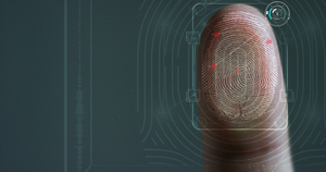 新研究發現指紋對觸覺起到關鍵作用