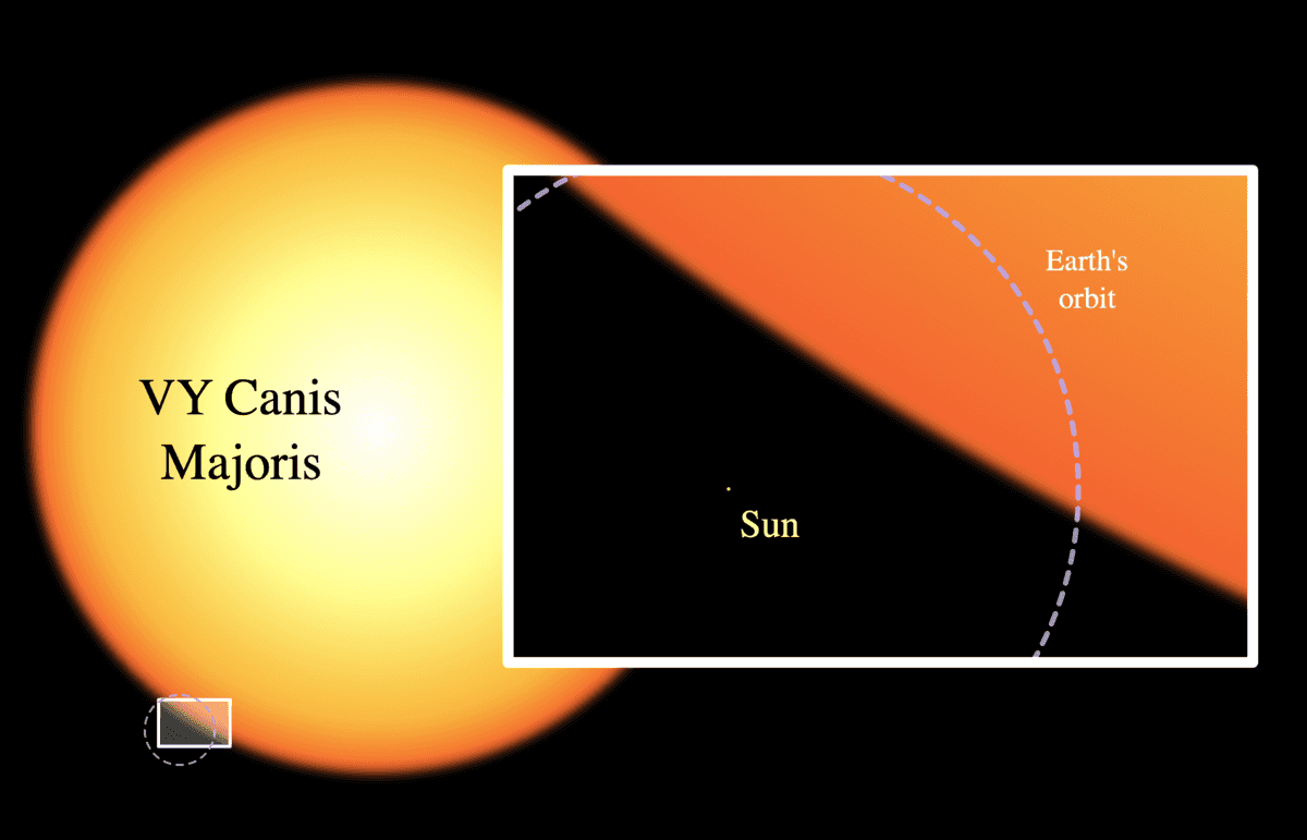 大犬座VY紅超巨星與太遠和地日軌道的大小對比圖。（Oona Räisänen/公有領域）