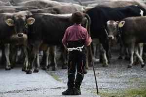 【名家專欄】像農民一樣生活