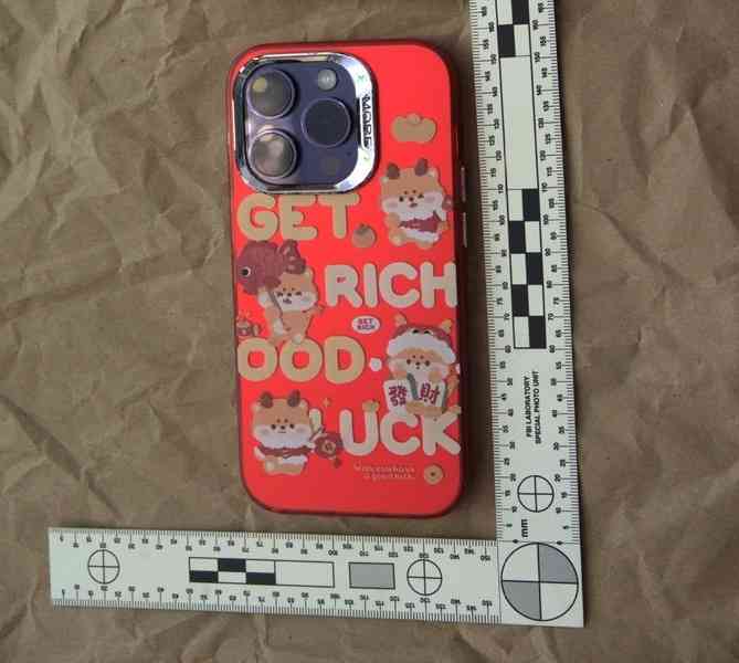 紐約前州長副幕僚長孫雯案：從「華人之光」到被告席