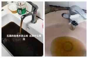 山東五蓮縣居民飲用水管流黑水 官方稱乾旱