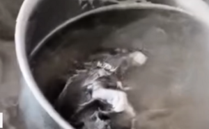網民曝廣西早餐店「湯鍋撈出燉爛老鼠」