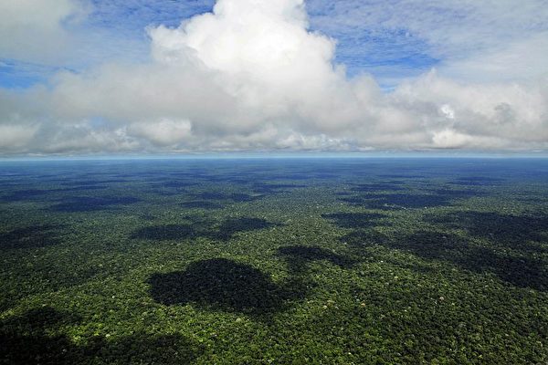深陷債務 厄瓜多爾出售亞馬遜雨林給中企