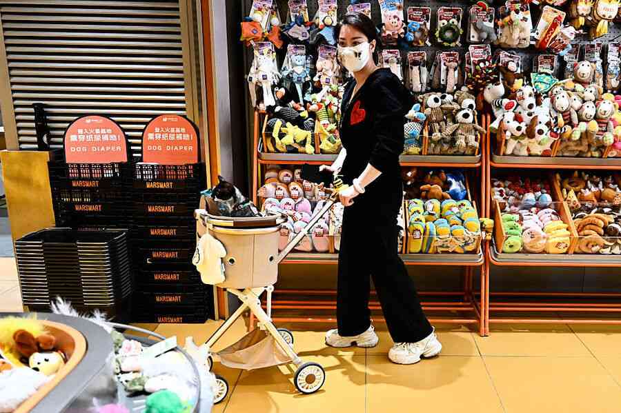 上海女子800元買貓 背上7000多元「貓貸」