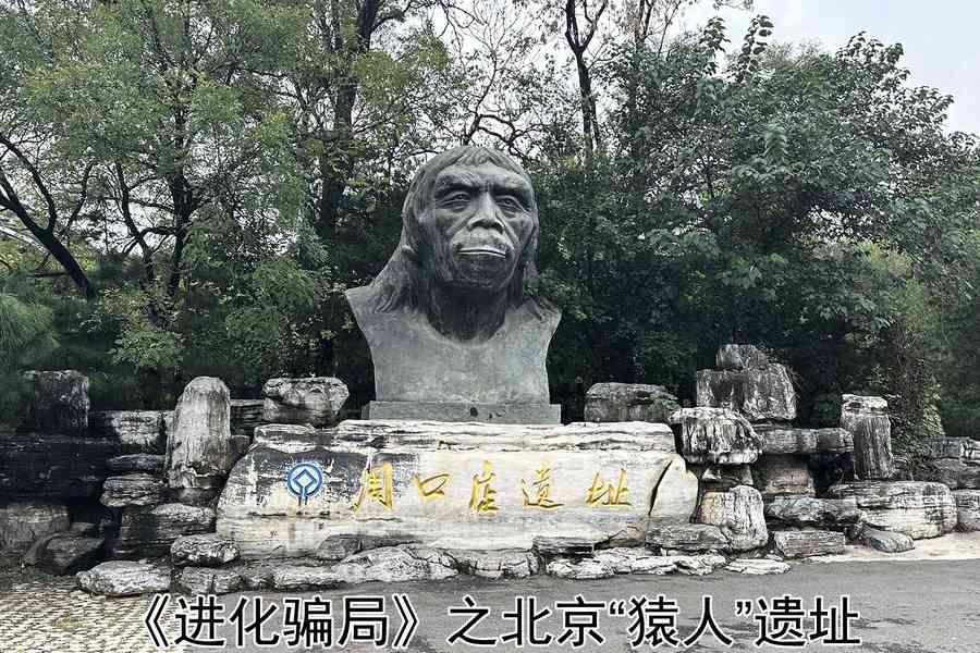 進化騙局（9） 九問「北京猿人」（下）
