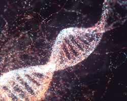 新技術看到微觀下DNA前所未見細節
