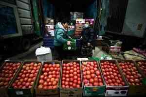 大陸番茄價格暴漲 多地「雞蛋配不上番茄」