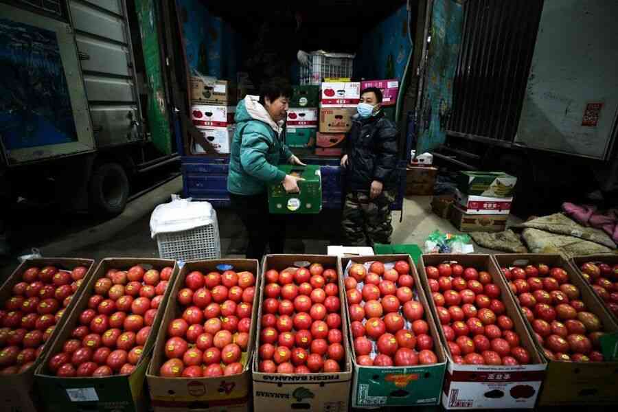 大陸番茄價格暴漲 多地「雞蛋配不上番茄」