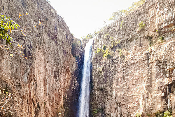 世界上最古老的木結構建築早於人類文明