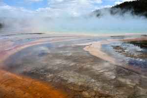 野牛跌落美國黄石炙熱温泉 驚恐遊客拍下最後瞬間