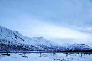 特朗普政府撤銷阿拉斯加石油鑽探限制