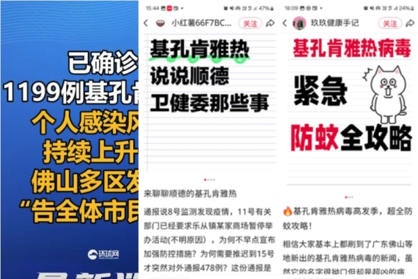 廣東疾控中心公布佛山等地出現新的疫情「基孔肯雅熱」,約10天確診上千例,傳播的媒介是蚊子。(網絡截圖)