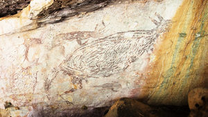 澳洲發現最古老岩畫 1.73萬年前的袋鼠