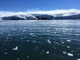 智利女子在南極冰水中游2.5公里 史上第一人