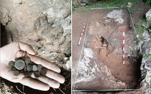 西班牙野獾覓食 意外挖出大批古羅馬硬幣