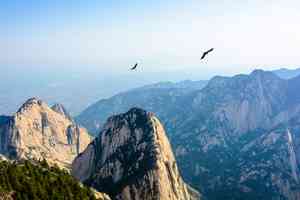 金山風雲之頂天立地(5)新人報到