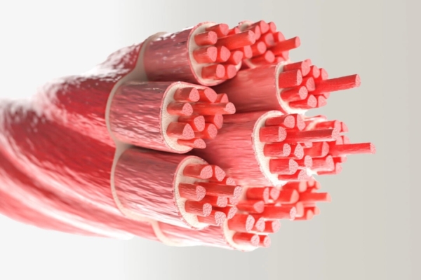 一項新研究挑戰了傳統的基於BMI的健康風險評估。(Shutterstock)