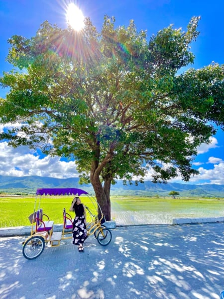 騎上單車,穿梭在池上的田間小徑,彷彿回到追著稻浪嬉戲的童年。(圖/王芊芊提供)