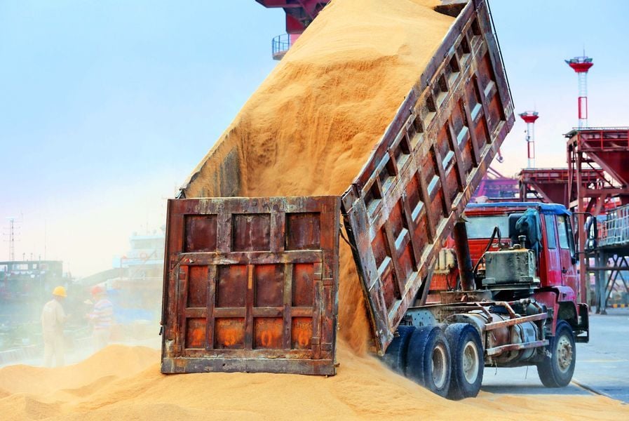 貿易戰暫休戰 中國11月進口256萬噸美大豆