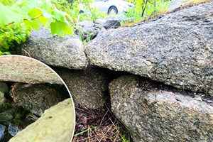 兔子受傷躺路中間 女子駕車折返驚心施救