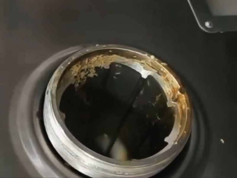 浙江小學絞肉機被發現大量活蛆蠕動 引熱議