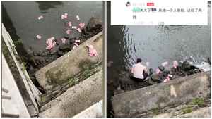 深圳河道驚現大量成捆鈔票 被一男子撿走