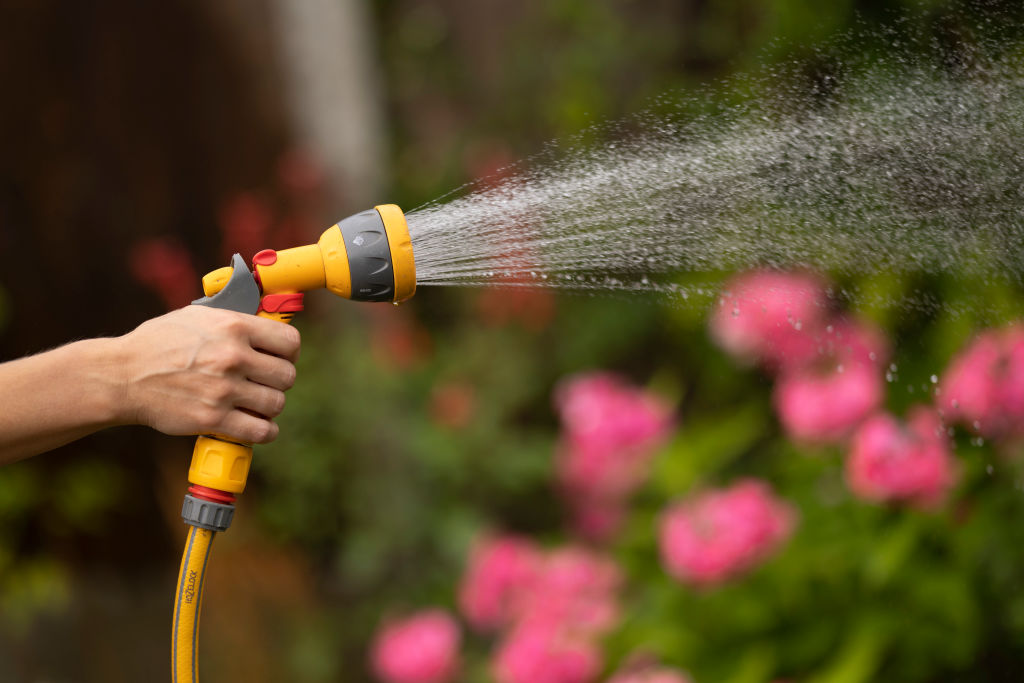 已經有三家自來水公司宣布了限水令，禁止居民使用膠皮水管給花園澆水。英國最大的自來水公司也表示計劃幾周後開始限制用水。（ Dan Kitwood/Getty Images）