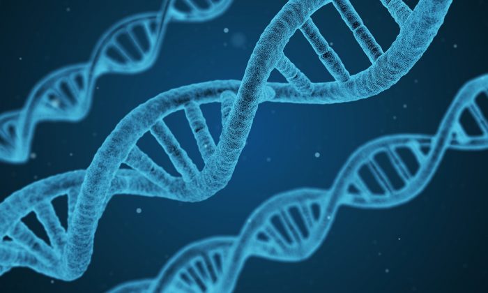 藝術家筆下的DNA雙螺旋形象。（Qimono/Pixbay）