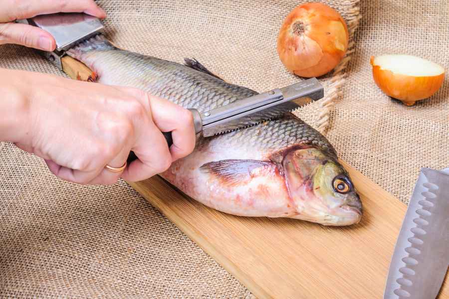 新研究：在美國吃1條淡水魚 或等於喝1個月有毒污水