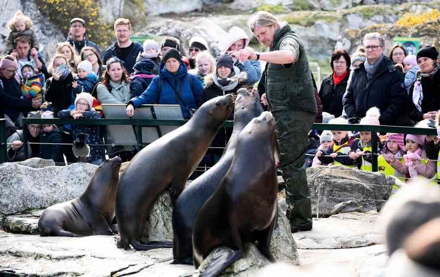 【圖輯】維也納美泉宮動物園巡禮