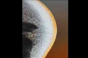 錢塘江現「月亮潮」 直徑300米橫跨江面