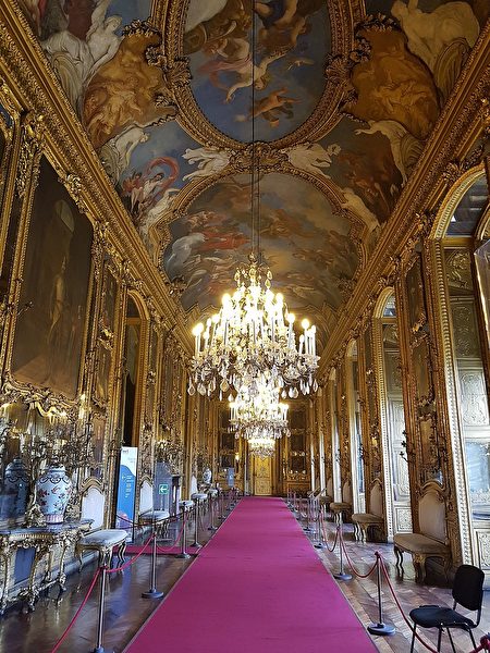 這座以法國王室建築為藍本的富麗堂皇的大廳曾通往維托里奧‧阿梅代奧二世（Vittorio Amedeo II）的房間。它以丹尼爾畫廊（Galleria del Daniel）命名，是由於17世紀的藝術家丹尼爾‧塞特（Daniel Seiter）彩繪了其天花板。塞特的天花板上描繪了丘比特（Jupiter）、阿波羅（Apollo）和以塞特的贊助人阿馬德奧二世（Amadeo II）為特色的「神化英雄」。一條長長的金色簷口線將天花板和牆壁上的金色邊框精美地連接起來。（Ambra75/CC BY-SA 4.0）