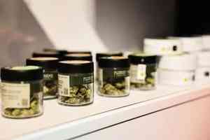 研究:大麻使用者罹患唾液腺腫瘤風險增五倍