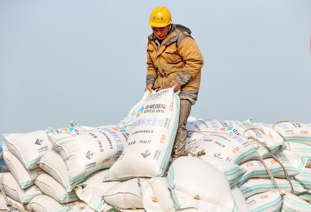 美國大豆是北京與華府貿易談判的槓桿，試圖以加碼採購大豆作為緩解中美貿易衝突的籌碼。然而，分析師質疑，在非洲豬瘟持續升溫之際，中國是否能履行這項承諾。 （Photo by AFP）