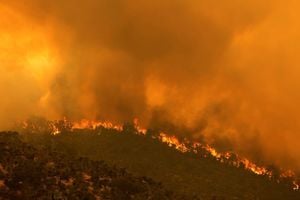 組圖：澳洲珀斯山火延燒 面積高達七千公頃