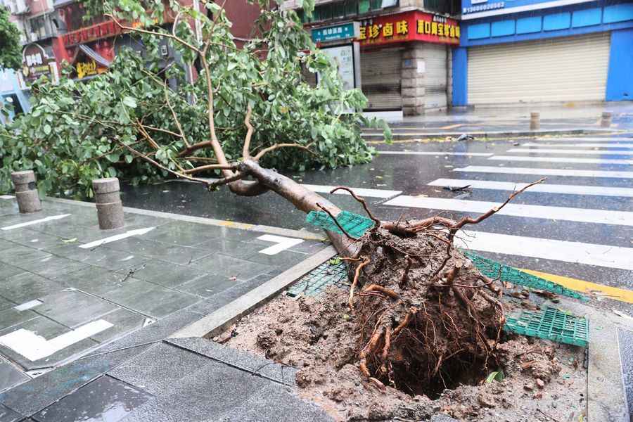 颱風杜蘇芮夾狂風暴雨登陸福建 市民稱非常嚇人
