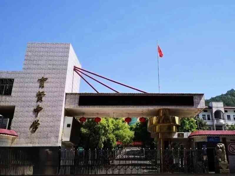 湖南脫貧縣花120萬元修一中學校門引爭議