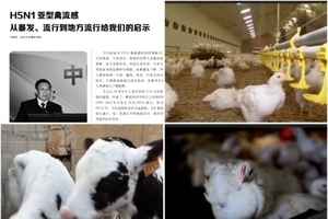 大陸專家H5N1論文成禁文 業內人士再爆內幕