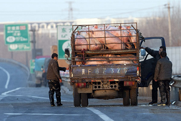農牧企業神農集團第三季度淨利同比下降79%